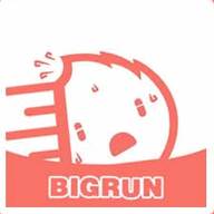 bigrun毕润论坛app(毕润明瓷版老虎的价格高吗)