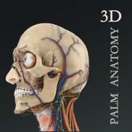 掌上3D解剖app安卓版(3d解剖软件中文版手机)