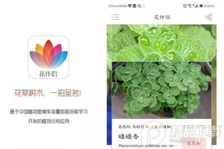 花伴侣App免费