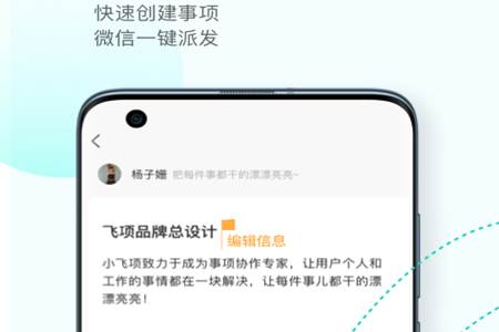 飞项app