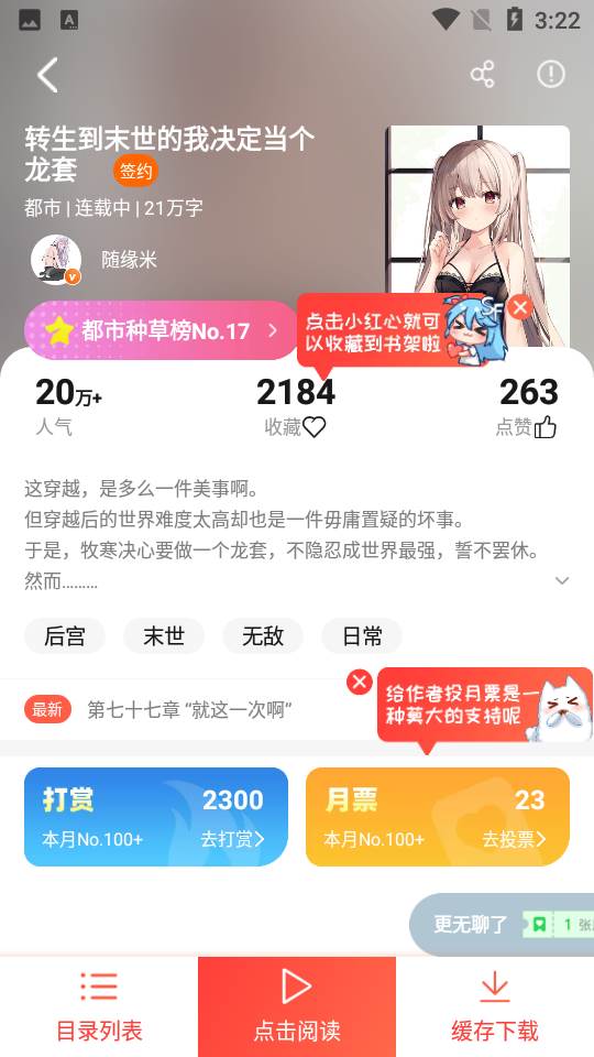 菠萝包轻小说