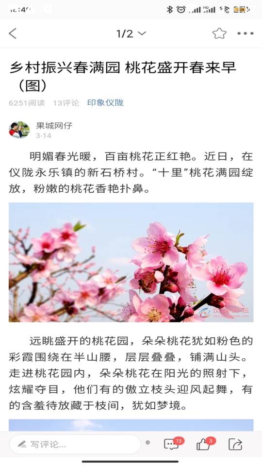智慧仪陇, 智慧仪陇