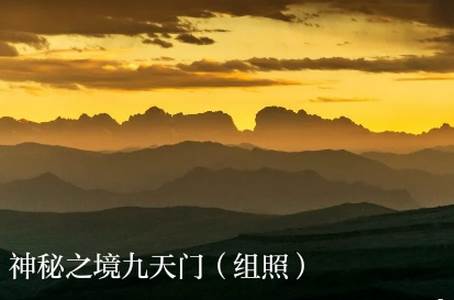 新卓尼app安卓版