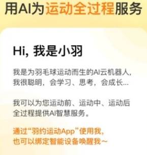 羽约运动