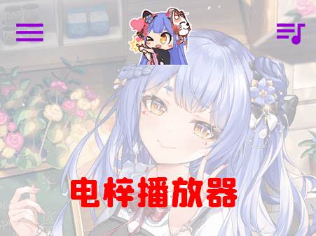 电梓b站播放器app(APM)