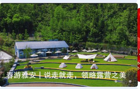 云小雅客户端