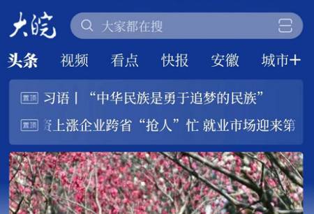 大皖新闻手机客户端