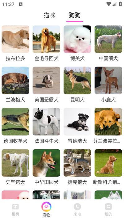 嗨遇相机app