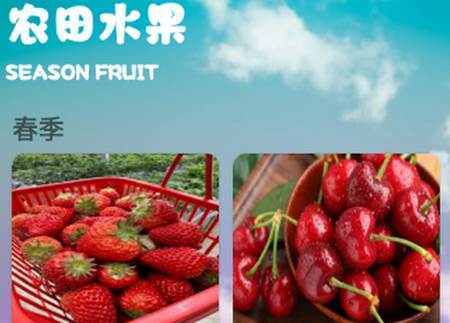 指尖农园app