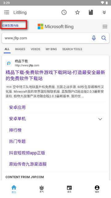 必应精简版app(LitBing)