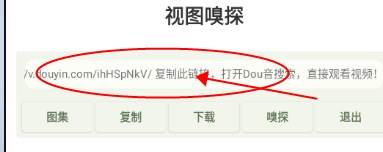 视图嗅探app