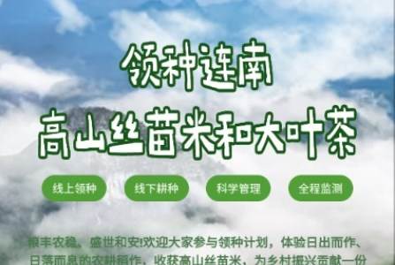 连南云上田园app