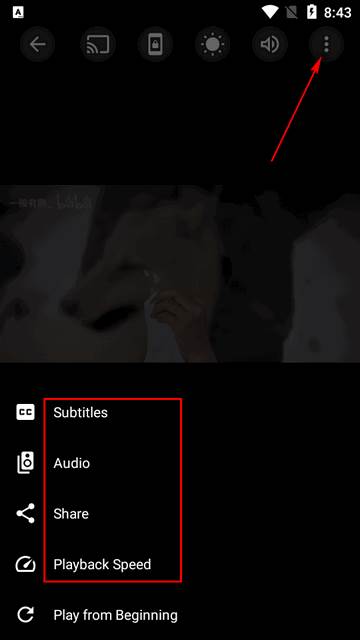 SX Player全格式播放器