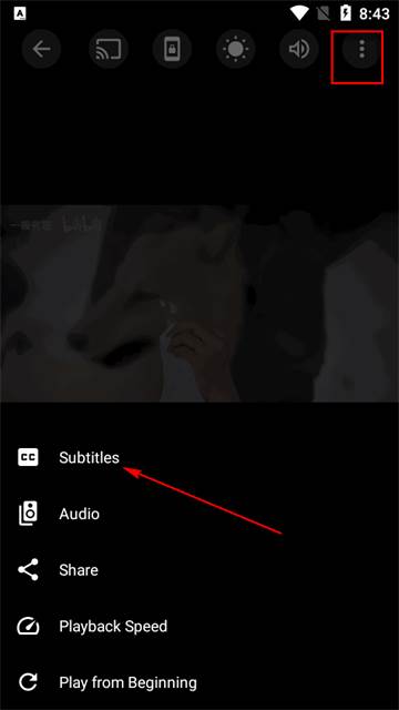 SX Player全格式播放器