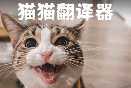动物交流器app安卓版