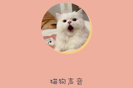 哆啦猫狗翻译器app免费版