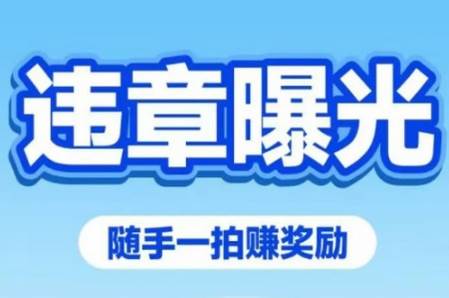 车拍拍app手机版