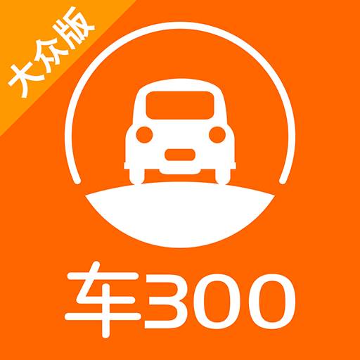 车300二手车大众版(大众3000型的二手车)