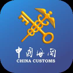 掌上海关app正版(掌上海关客服电话)
