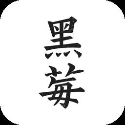 黑莓浏览器软件(黑莓q20浏览器)