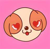 细狗视频app最新版(细狗幼犬图片及价格)