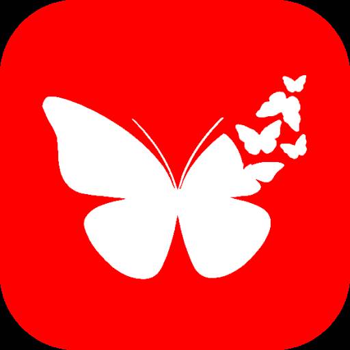 蝴蝶体育安卓版(蝴蝶体育安卓版官网)