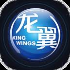 掌上龙翼app最新版(掌上飞龙)