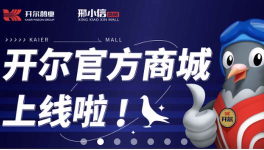 开尔邢小信app官方版