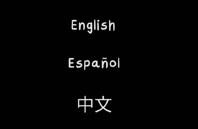他不是我的邻居下载手机版中文版