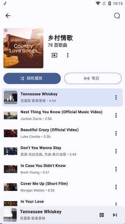 Metrolist音乐软件