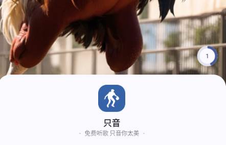 只音音乐