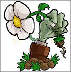 Plants vs. Zombies IC版本