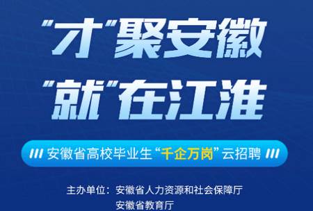 新安人才网