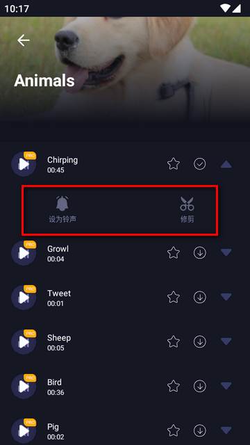 MP3转换编辑器专业免费版