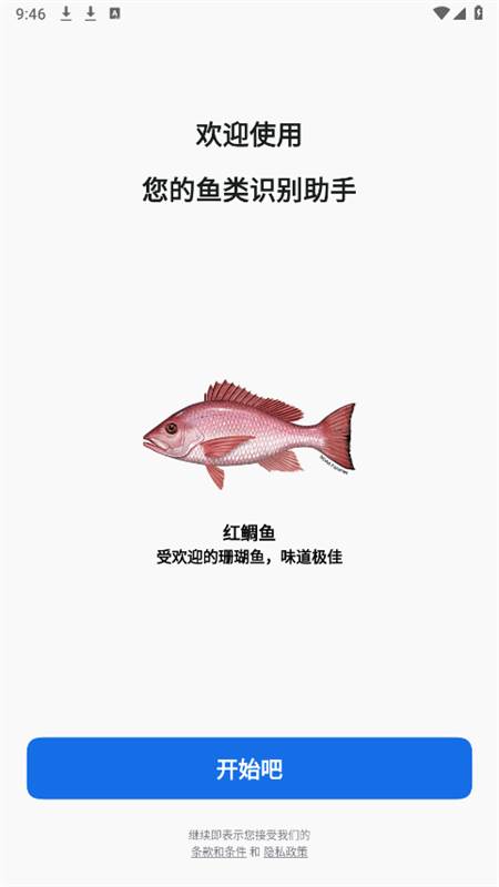 Fishby软件手机版