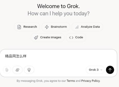 Grok AI官方正版