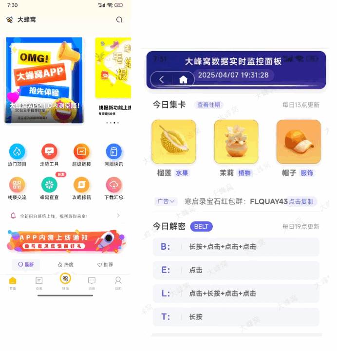 大蜂窝查查