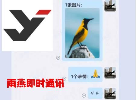 雨燕即时通讯软件