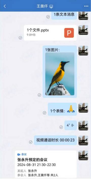 雨燕即时通讯软件