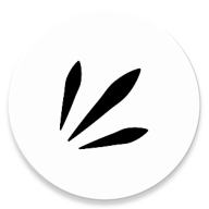 Rays表情包管理