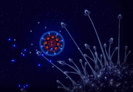 Microcosmum最新版