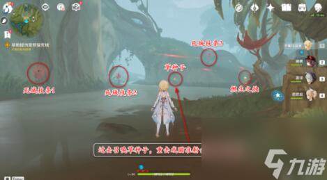 原神痼疾攻略(原神 瘴)