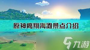 原神风中万花活动鹰翔海滩怎么刷高分(风中万花怎么3000)