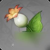 《原神》塔利雅培养材料收集攻略(原神塔利雅多少岁了啊)