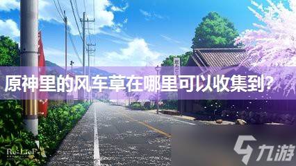 原神里的风车草在哪里可以收集到(原神风车菊在哪里找?)