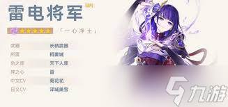原神雷电将军圣遗物词条怎么选择(原神雷电将军圣遗物怎么刷)