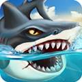 鲨鱼世界 Shark World