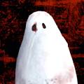 超自然现象多人恐怖 Paranormal