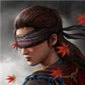 暗影猎手传奇内购破解版 Ryuko