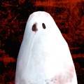 Paranormal多人联机恐怖游戏